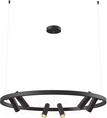 Люстра Maytoni Satellite MOD102PL-L42BK - фото