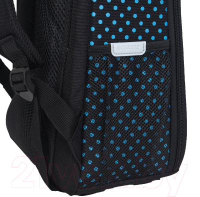 Школьный рюкзак Grizzly RAw-496-2