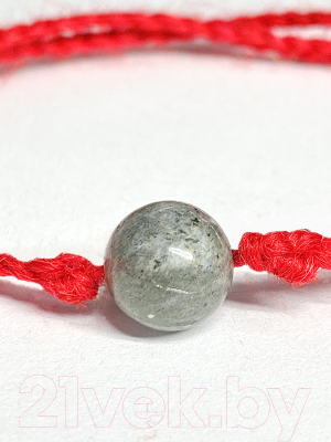 Браслет Wolves Красная нить с лабрадором 40857