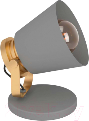 Прикроватная лампа Eglo Twicken 43841 - фото