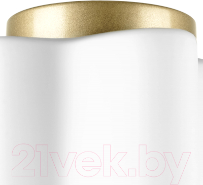 Потолочный светильник Lightstar Nubi 802013