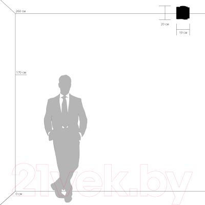 Потолочный светильник Lightstar Nubi 802013