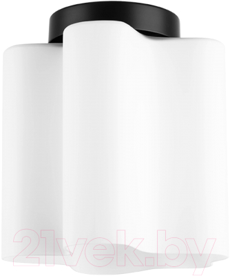 Потолочный светильник Lightstar Nubi 802017 - фото