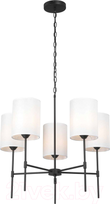 Люстра Vitaluce V2863-1/5 - фото