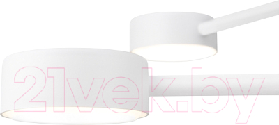 Потолочный светильник Freya Tactic FR5363CL-04W