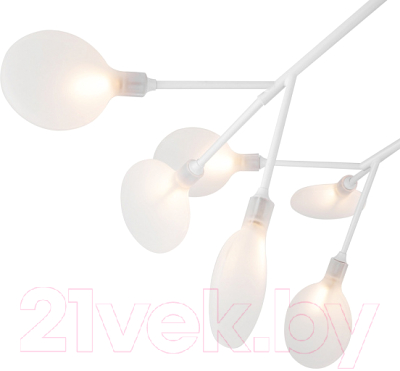 Потолочный светильник Freya Florencia FR5049CL-27W2