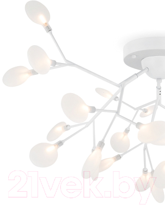 Потолочный светильник Freya Florencia FR5049CL-27W2