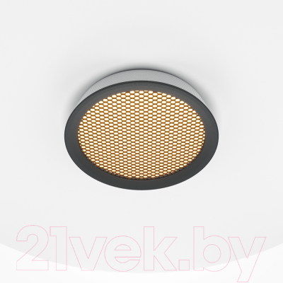 Потолочный светильник Maytoni El MOD041PL-L15W3K1