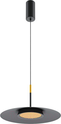 Потолочный светильник Maytoni El MOD041PL-L15B3K1 - фото