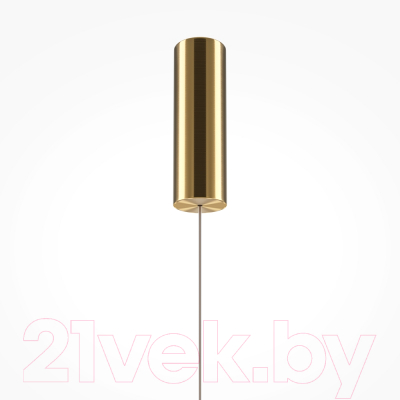 Потолочный светильник Maytoni Golden Cage MOD216PL-L10G3K