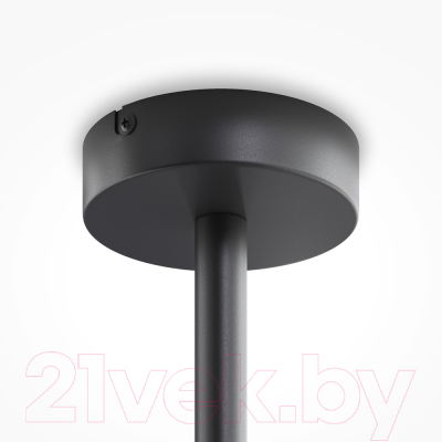 Потолочный светильник Maytoni Memory MOD177PL-12G