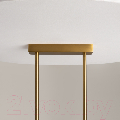 Люстра Maytoni Miracle MOD207PL-05BS