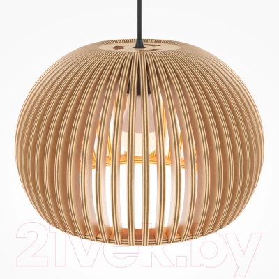 Потолочный светильник Maytoni Roots MOD195PL-01W