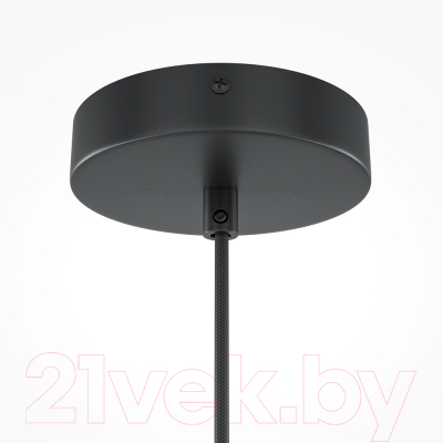 Потолочный светильник Maytoni Roots MOD195PL-01W