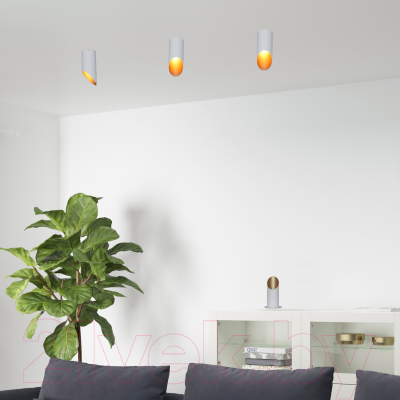 Потолочный светильник Элетех Соната 111 НПБ 01-25-101 G9 / 1005405288