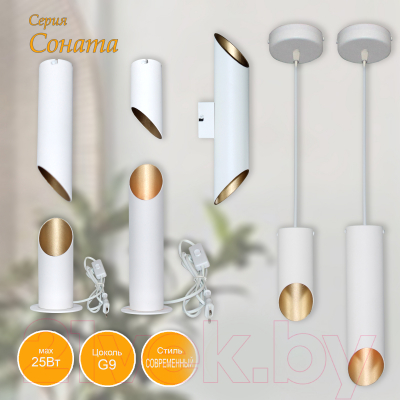 Потолочный светильник Элетех Соната 111 НПБ 01-25-101 G9 / 1005405288