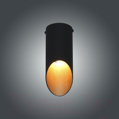 Потолочный светильник Элетех Соната 111 НПБ 01-25-101 G9 / 1005405287