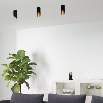 Потолочный светильник Элетех Соната 111 НПБ 01-25-101 G9 / 1005405287