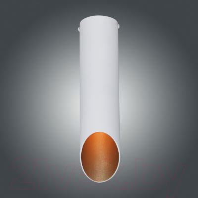 Потолочный светильник Элетех Соната 112 НПБ 01-25-102 G9 / 1005405290