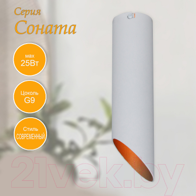 Потолочный светильник Элетех Соната 112 НПБ 01-25-102 G9 / 1005405290