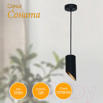 Потолочный светильник Элетех Соната 211 НСБ 01-25-101 G9 / 1005405291