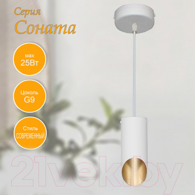 Потолочный светильник Элетех Соната 212 НСБ 01-25-102 G9 / 1005405294