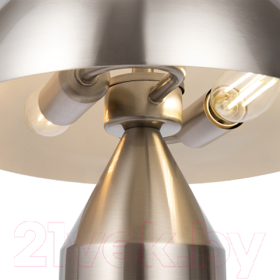 Прикроватная лампа Freya Eleon FR5218TL-02N