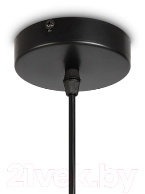 Потолочный светильник Freya LoungeGarden FR5248PL-01BG