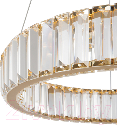 Потолочный светильник Freya Tier FR5257PL-L17G