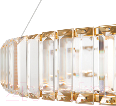 Потолочный светильник Freya Tier FR5257PL-L25G