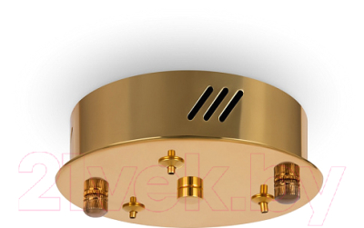 Потолочный светильник Freya Tier FR5257PL-L25G