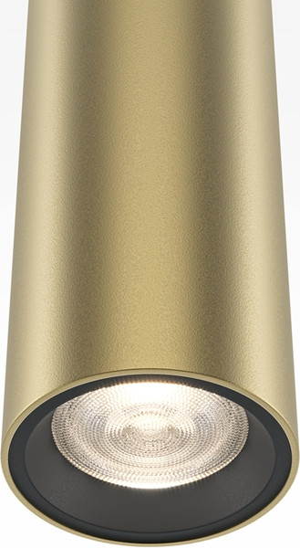 Потолочный светильник Maytoni Pro Base MOD159PL-L6GK