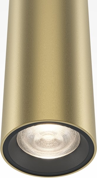 Потолочный светильник Maytoni Pro Extra MOD160PL-L6GK