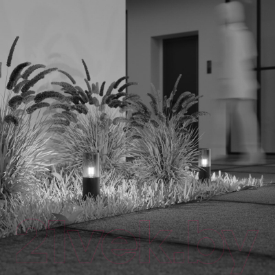 Светильник уличный Maytoni Amas O432FL-01GF