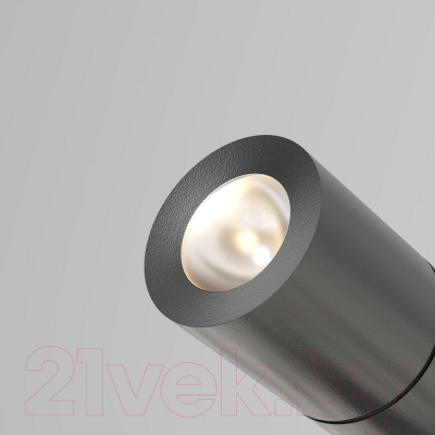 Светильник уличный Maytoni Bern O050FL-L2GF3K