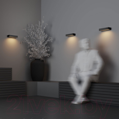 Бра уличное Maytoni Lot O428WL-L10GF3K