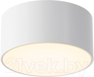 Потолочный светильник Maytoni Zon IP O430CL-L15W3K - фото