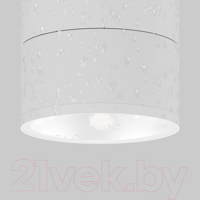 Светильник уличный Maytoni Spin O310CL-L12W3K