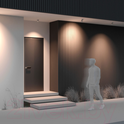 Светильник уличный Maytoni Spin O310CL-L7W3K