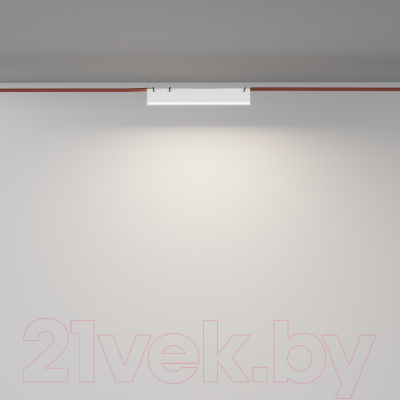 Потолочный светильник Maytoni Basis TR129B-12W4K-W