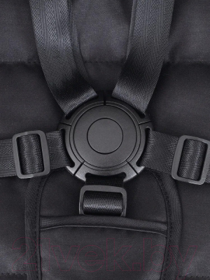 Детская прогулочная коляска Rant Joy / RA303