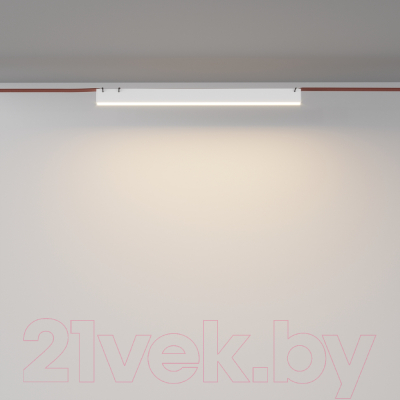 Потолочный светильник Maytoni Basis TR129B-24W3K-W