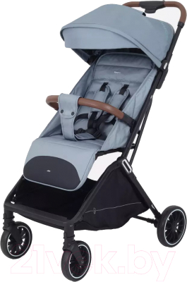 Детская прогулочная коляска Rant Joy / RA303 (серый) - фото