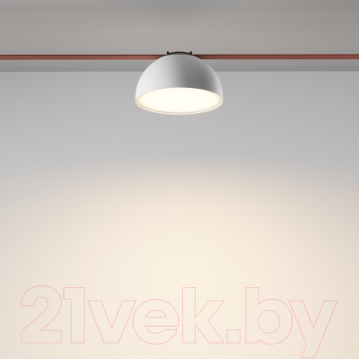 Потолочный светильник Maytoni Bowl TR126B-20W3K-W