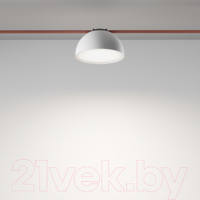 Потолочный светильник Maytoni Bowl TR126B-20W4K-W