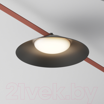 Потолочный светильник Maytoni Campana TR127B-12W3K-B