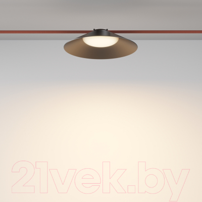 Потолочный светильник Maytoni Campana TR127B-12W3K-B