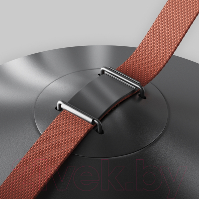 Потолочный светильник Maytoni Campana TR127B-12W3K-B