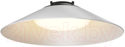 Потолочный светильник Maytoni Campana TR127B-12W3K-W - фото