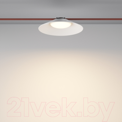 Потолочный светильник Maytoni Campana TR127B-12W3K-W